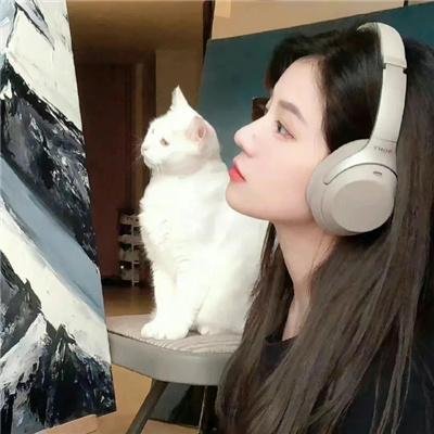 新东京猫猫